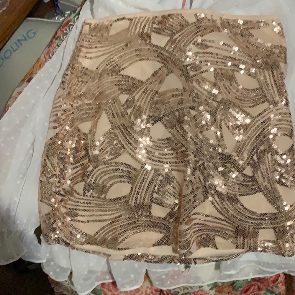 Francesca’s pink champagne skirt, large